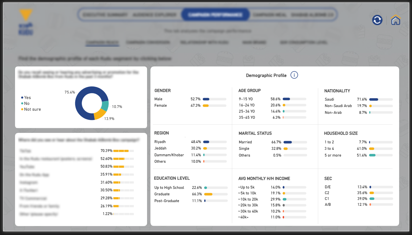 Power BI demographic profiling dashboard with percentage bars and donut charts